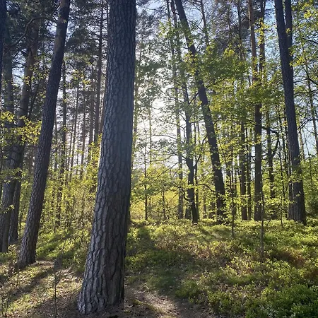 Дом отдыха Dom Przy Lesie *