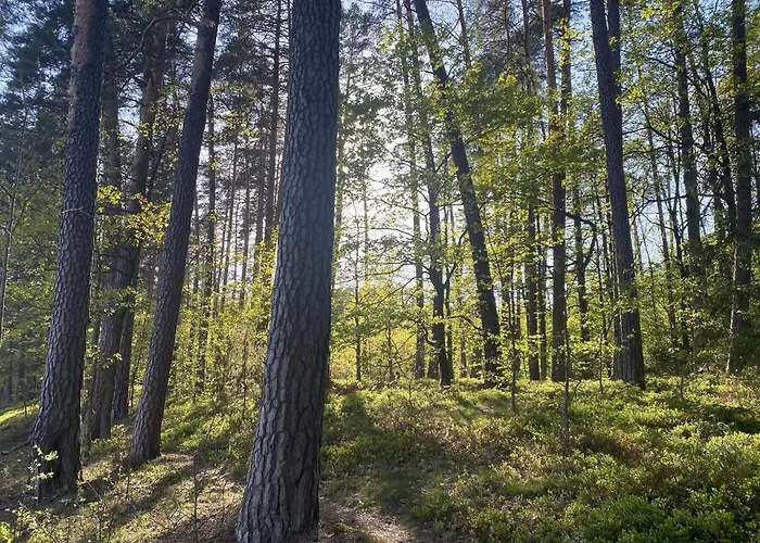 Holiday home Dom Przy Lesie *