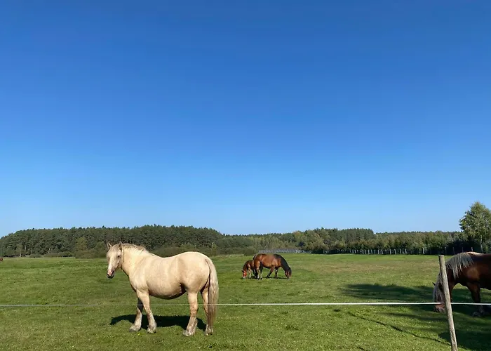 Dom Przy Lesie * Zielonowo