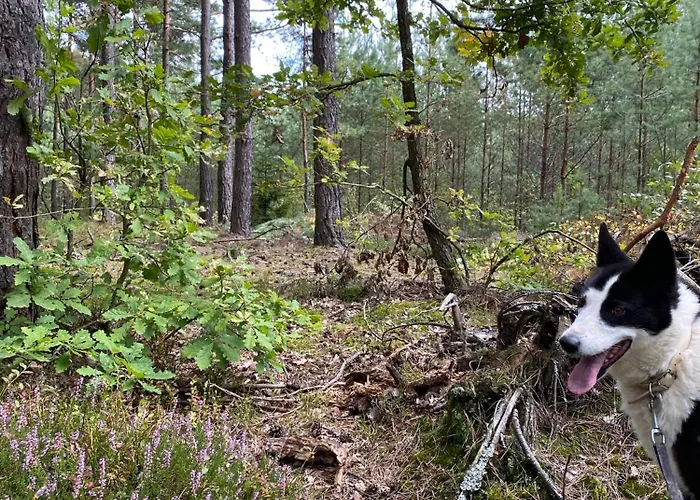 Dom Przy Lesie Holiday home