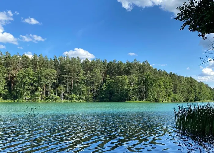 Dom Przy Lesie Holiday home Zielonowo